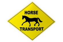 transporte de caballos - transportedemascotas.net