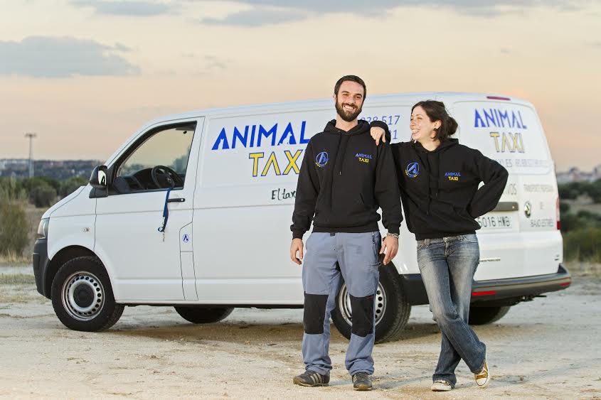 Animal Taxi - transporte de mascotas por España