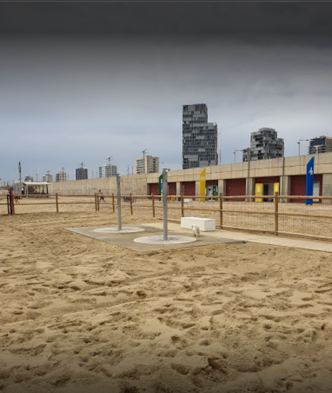 Playa de Llevant - Playa para perros en Barcelona 