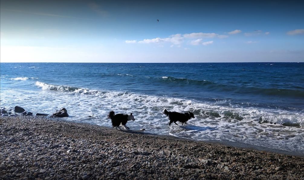 Playa para perros de La Rana en Adra, Almería